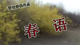 丽佳 春语