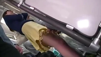Bus wife's foolish dream